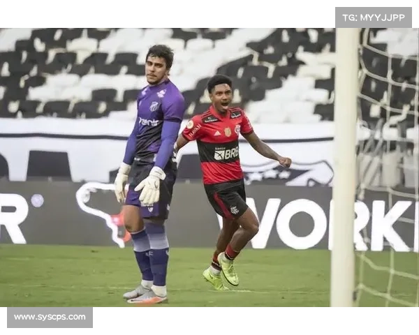 弗拉门戈经济状况及市场分析综述